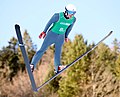 47 2020-01-22 Ski Jumping Competition Round Nordic Mixed Team (2020 Winter Youth Olympics) by Sandro Halank–166 uploaded by Sandro Halank, nominated by Sandro Halank,  10,  0,  0