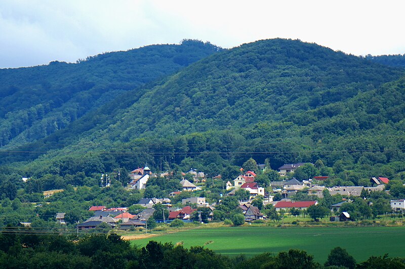 File:Abranovce, chránené vtáčie územie Slanské vrchy 23 Slovakia 5.jpg