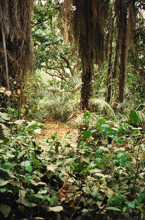 hver gang godkende dør File:Abuko Nature Reserve (4380022389).jpg - Wikimedia Commons
