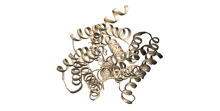 <span class="mw-page-title-main">Angiotensin II receptor type 1</span> Protein-coding gene in the species Homo sapiens