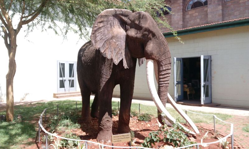 File:Ahmed the elephant statue.jpg