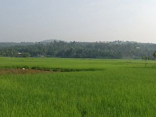 Pulikkal Village in Kerala, India