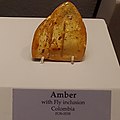 Amber with fly inclusion, Tellus Science Museum.jpg