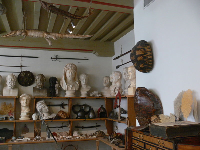 File:Amsterdam - Rembrandthuis - Rembrandt's cabinet of curiosities.JPG