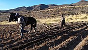 Miniatura para Labranza (agricultura)