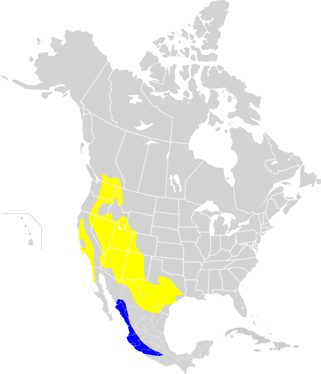 Mapa występowania