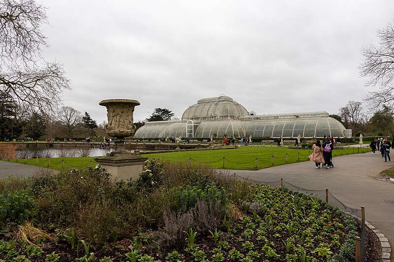 File:At Royal Botanic Gardens, Kew 2024 101.jpg