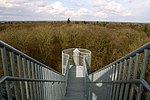 Landschaftsschutzgebiet Ihlower Forst und Niederung des Krummen Tiefs