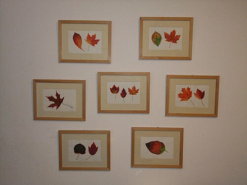 Watercolors of various autumn leaves