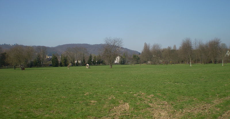 File:Bad Honnef Lohfeld.jpg