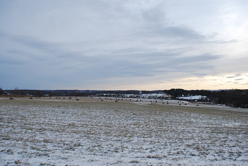 File:Bales of hay in an open field at sunset.JPG