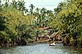 Bangkok-Khlongfahrt-04-Dschungel-1976-gje.jpg