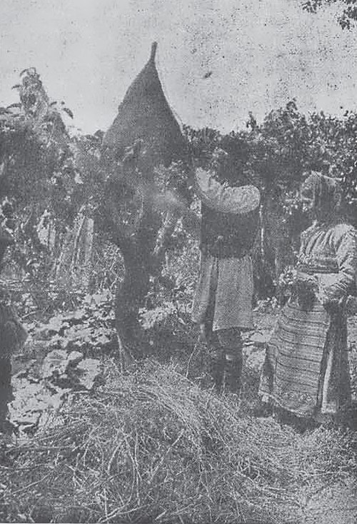 Beekeepers from North Macedonia, from the beginning of 20th century