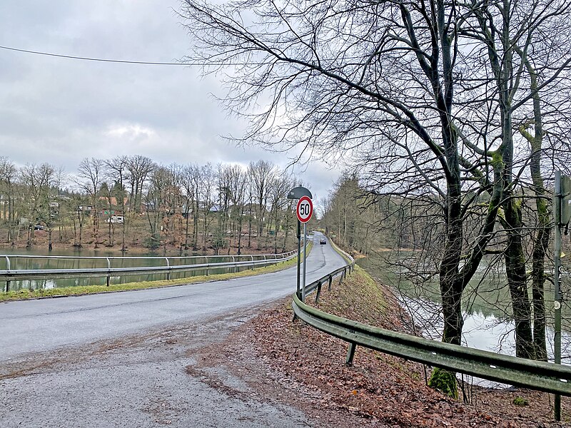 File:Bevertalsperre bei Großhöhfeld (5).jpg