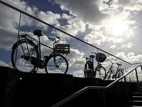 Bicycles in the Center of Copenhagen