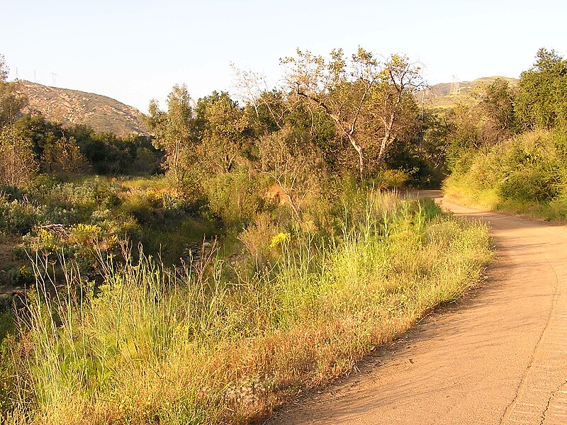 File:Black Star Canyon Road.JPG