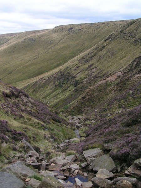 File:Blackden Brook - geograph.org.uk - 218041.jpg