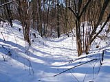 English: Blue trail between Kosewko and Pomiechówek in winter Polski: Niebieski szlak turystyczny między Kosewkiem a Pomiechówkiem zimą