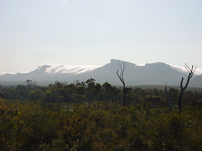 File:Bluff knoll stirling ranges with cloud blanket.jpg