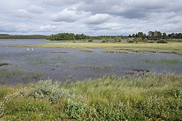 Ajsjávrre strax väster om Båtsjaurs by.