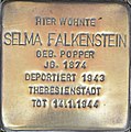 wikimedia_commons=File:Braunschweig John-F.-Kennedy-Platz 10 Stolperstein Selma Falkenstein (crop).jpg image=File:Braunschweig John-F.-Kennedy-Platz 10 Stolperstein Selma Falkenstein (crop).jpg