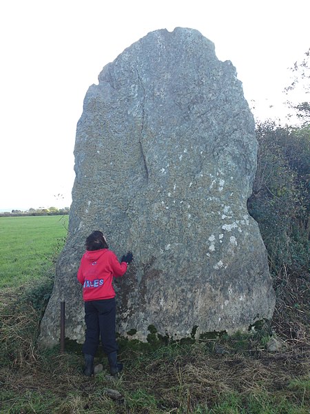 File:Bryn Gwyn slab stone with small adult 11102009.JPG