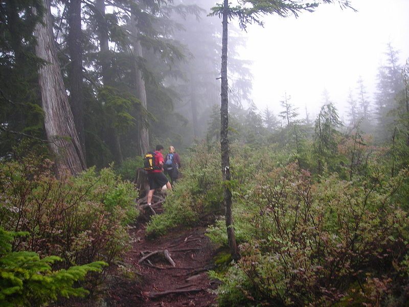 File:Buntzen lake trail.JPG