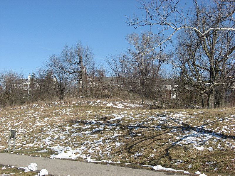 File:Burchenal Mound from the south.jpg
