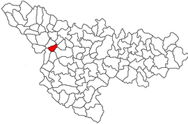 Location in Timiș County