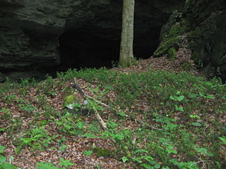 Bat Cave and Cascade Caverns State Nature Preserves Nature preserve in Kentucky dedicated to protecting the endangered Indiana bat