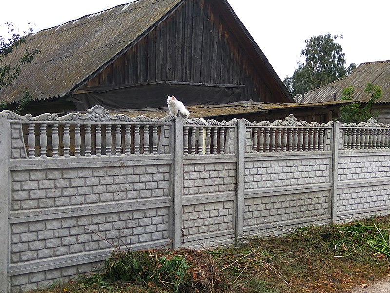 File:Cats of Andriyivka 1.jpg