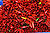 Chile pepper - Red.jpg
