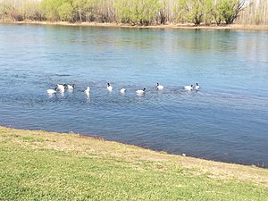 Río Limay: Toponimia, Geografía, Aprovechamiento hidroeléctrico