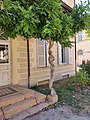 Français : Haras de Cluny, Cluny, Saône-et-Loire, Bourgogne, France