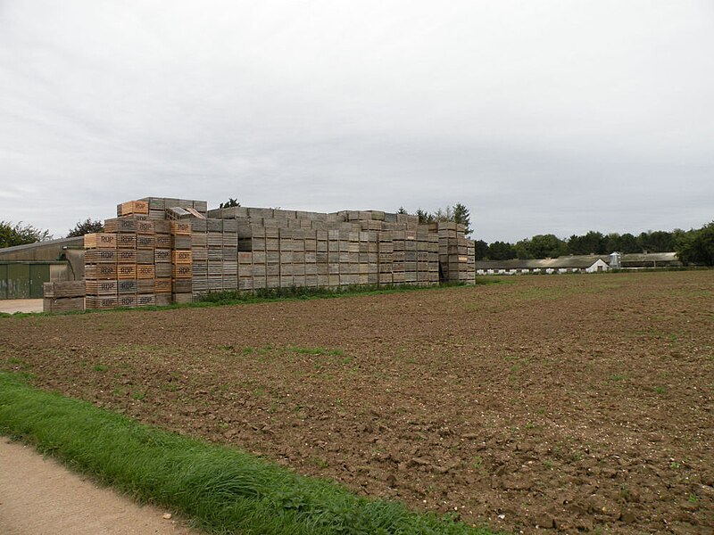 File:Crate wall, Home Farm - geograph.org.uk - 5560237.jpg