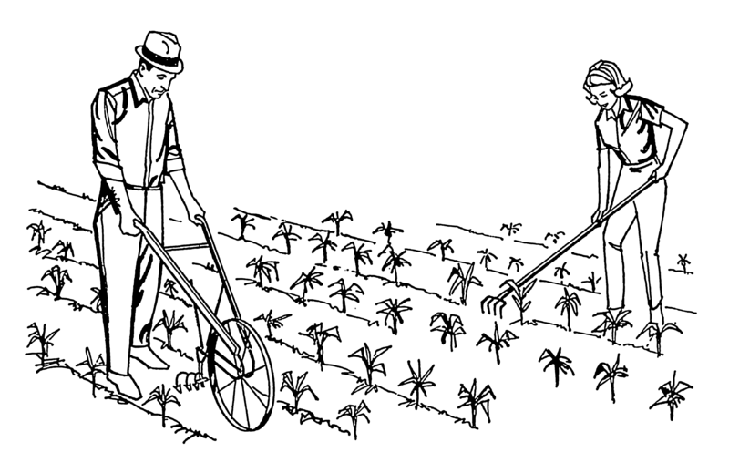 File:Cultivator 1 (PSF).png