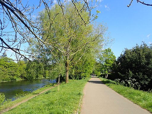 Cycle Path, Sustrans 8 (geograph 6170281)