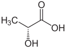 Bactérie Lactique