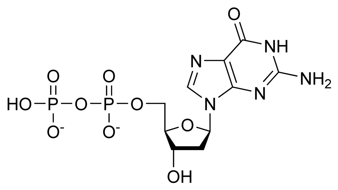 Deoxyguanosine diphosphate