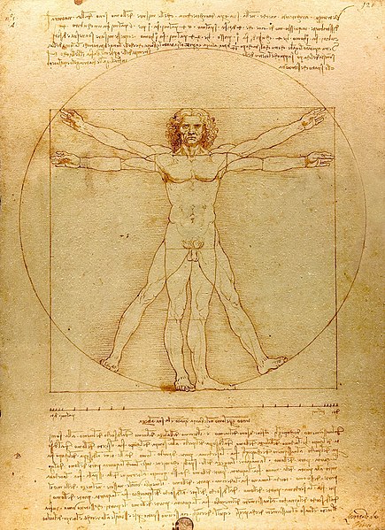 File:Da Vinci Vitruve Luc Viatour (cropped).jpg