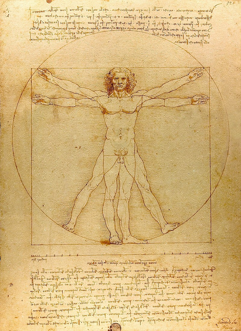 Leonardo DaVinci's Vitruvian Man