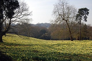 Warley Place Essex Wildlife Trust Nature reserve