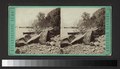 Debris of the Palisades on the Hudson (NYPL b11707647-G90F453 034F).tiff