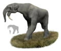 Vignette pour Deinotherium