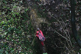 Investigating a denehole in Hangman's Wood Denehole.jpg