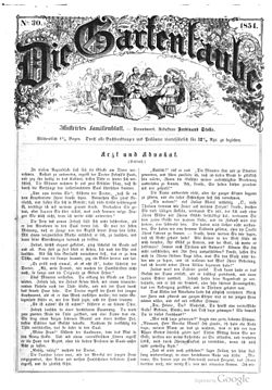 Die Gartenlaube (1854) 345.jpg
