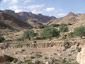 Bou Omrane'deki Jebel Orbata'dan görünüm.