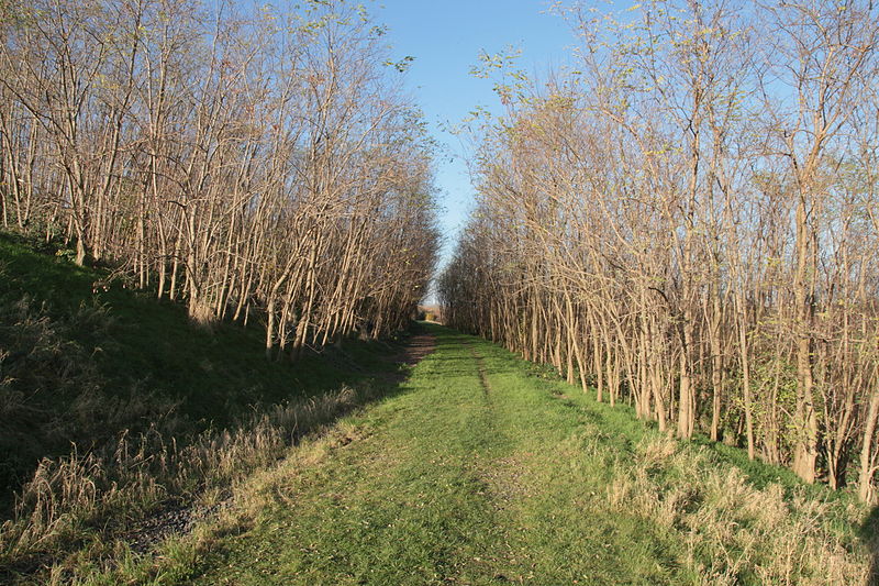 File:Dortmund - Lindberghstraße - Deusenberg 17 ies.jpg