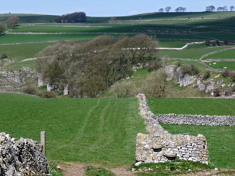 File:Dry Stone Wall - geograph.org.uk - 4918109.jpg