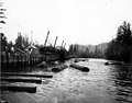 Dumping logs from railroad cars, A F Coats Logging Co camp, Grays Harbor region (CURTIS 1762).jpeg